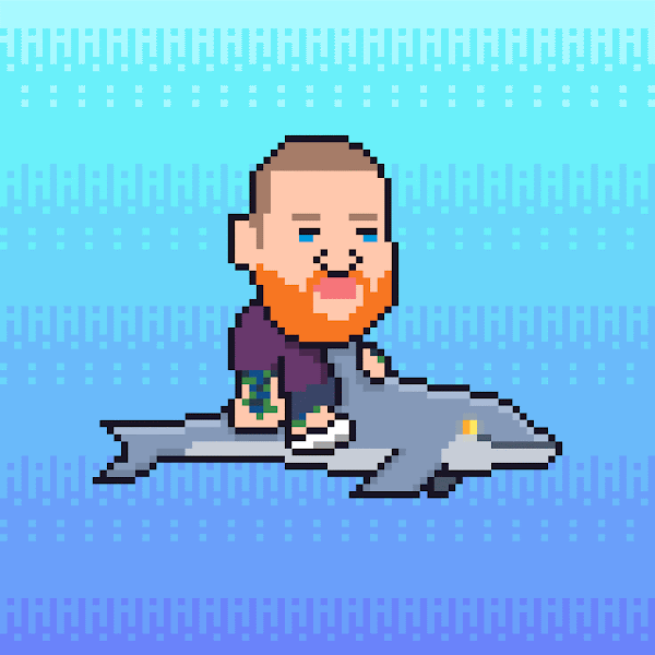 man on dolphin gif